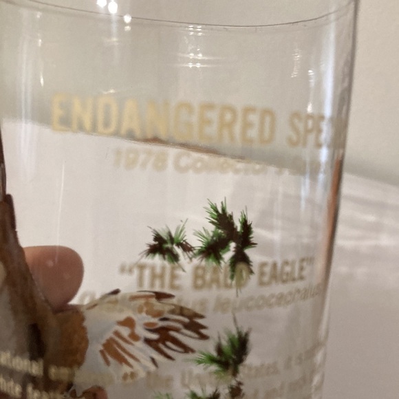 VINTAGE BURGER CHEF "THE BALD EAGLE" 1978 ENDANGERED SPECIES COLLECTORS Glass - Picture 9 of 13